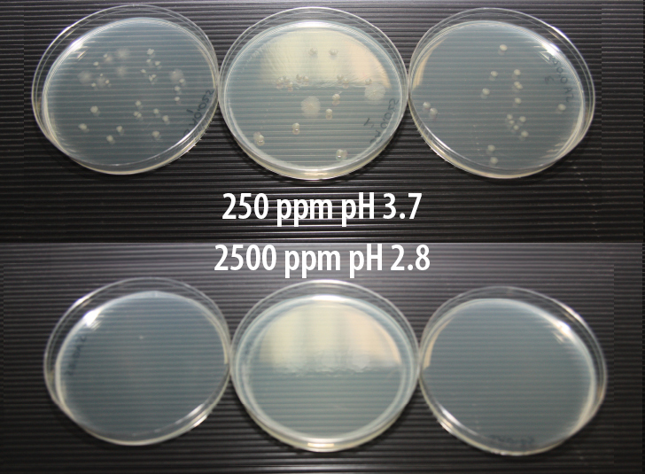 Salmonella Enteritidis AquaGuard