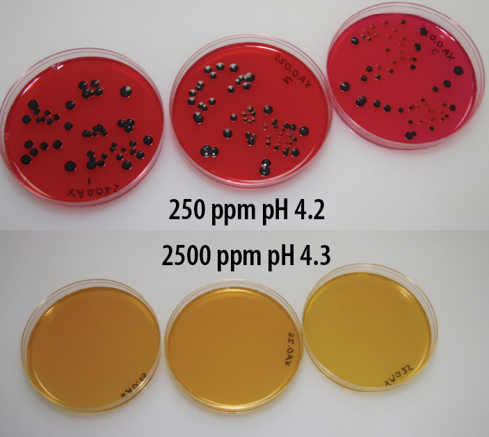 Salmonella Enteritidis AquaGuard